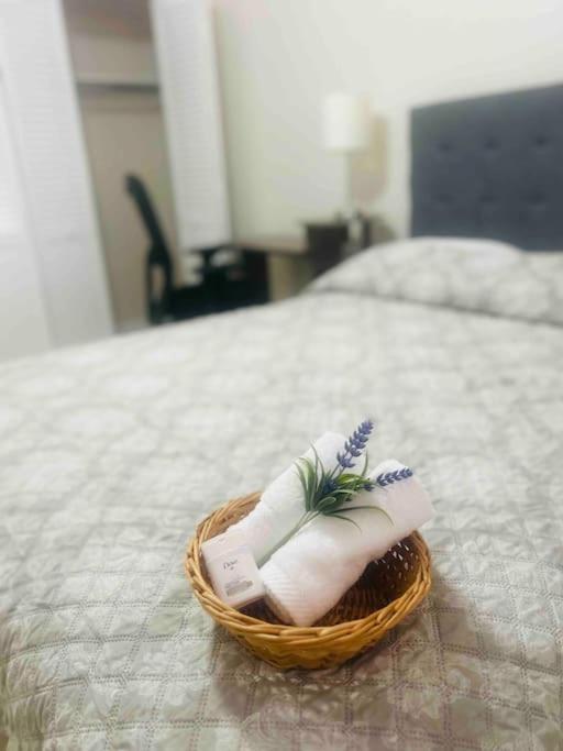 Vintage Family Scape + Heated Pool&Discount Villa Tampa Kültér fotó