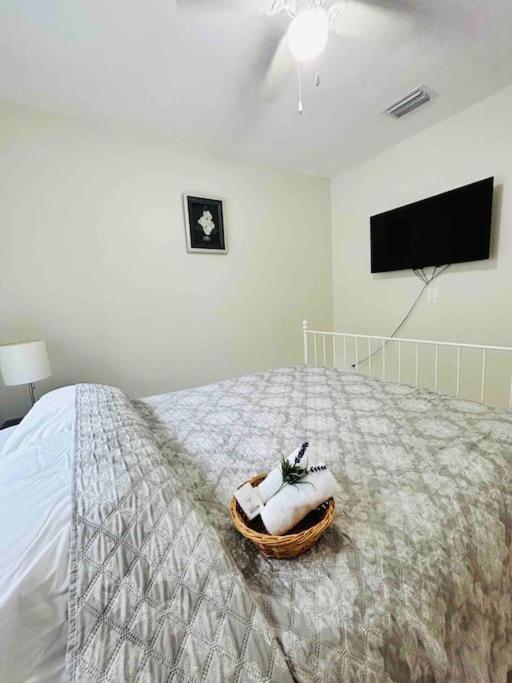 Vintage Family Scape + Heated Pool&Discount Villa Tampa Kültér fotó