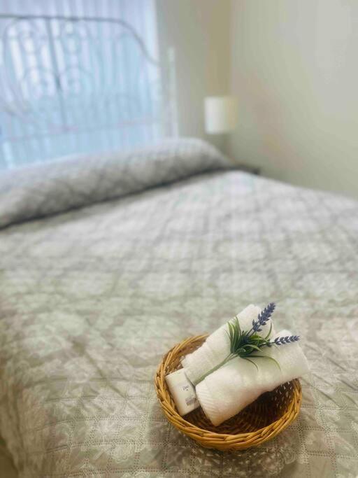 Vintage Family Scape + Heated Pool&Discount Villa Tampa Kültér fotó